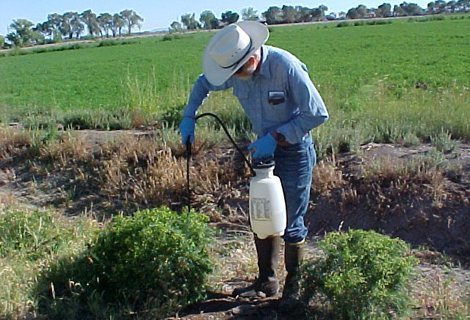 Pesticide Training
